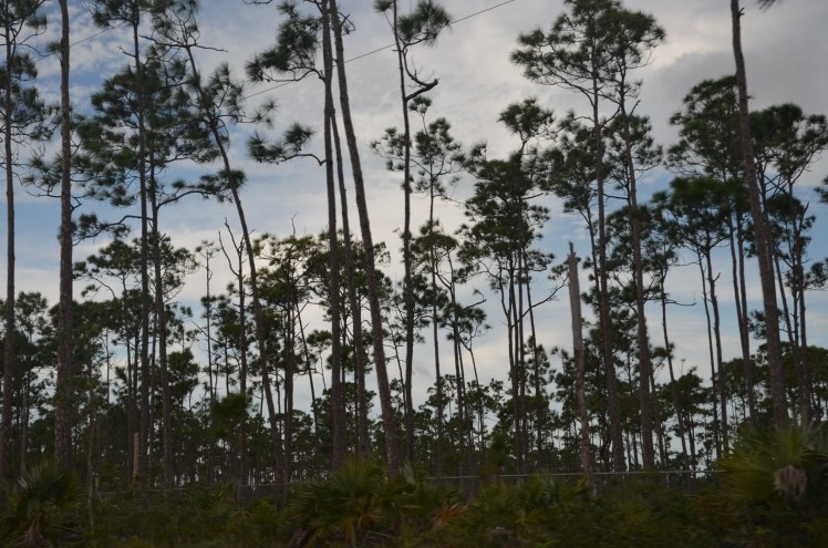 2CFA4C61-EEFD-4853-904A-2AD2A9B12278