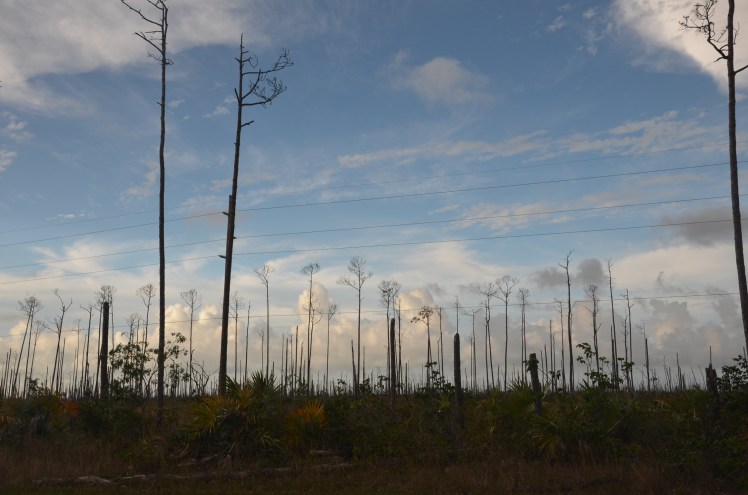 F08EC8AC-71E9-4B42-BC18-318987D3D66F